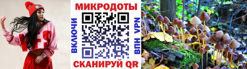 Галлюциногенные грибы ЛСД  наркота  Кукмор 